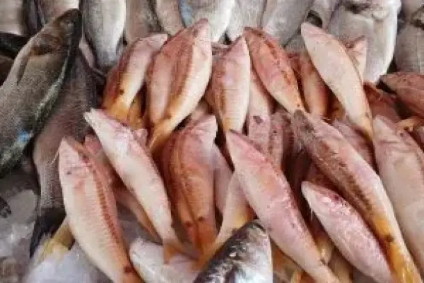 صورة توضيحية للمقال