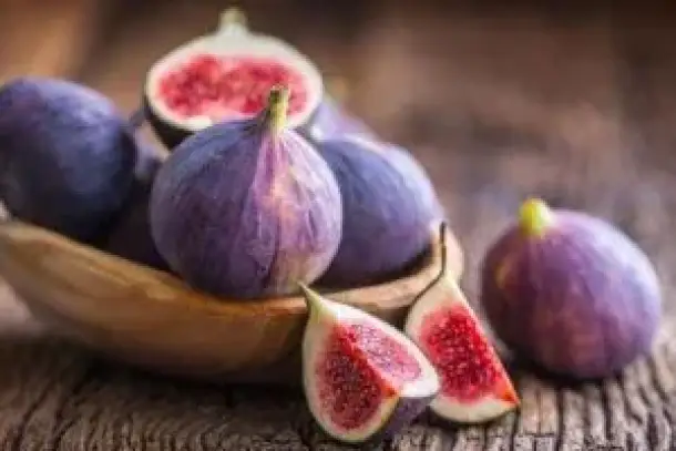 صورة توضيحية للمقال