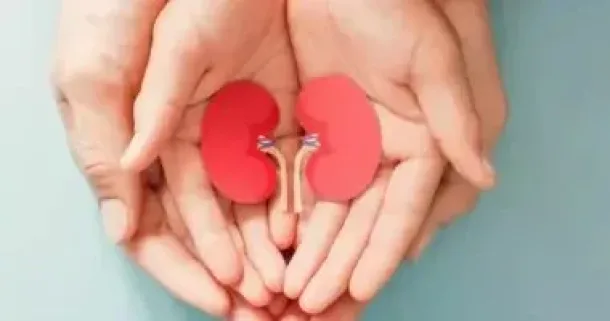صورة توضيحية للمقال
