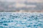 تأويل رؤيا المطر في منام المرأة الحامل