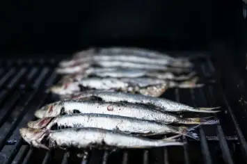 تفسير رؤية أكل السمك في المنام