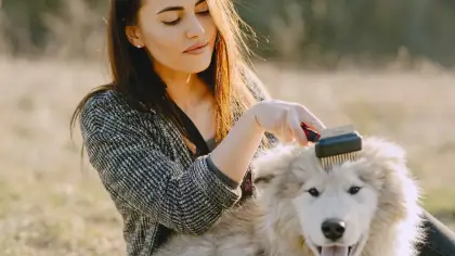 تفسير رؤية عضة الكلب في الحلم ودلالاتها