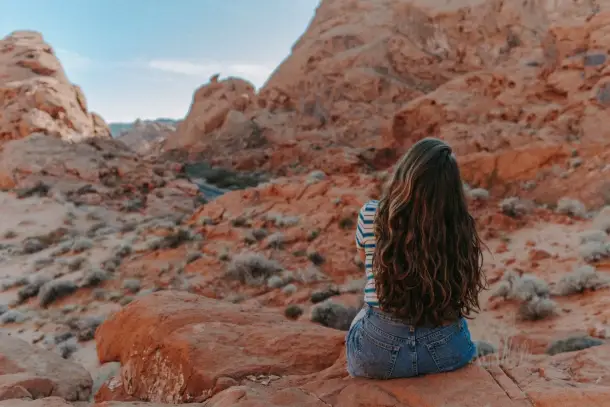 صورة توضيحية للمقال