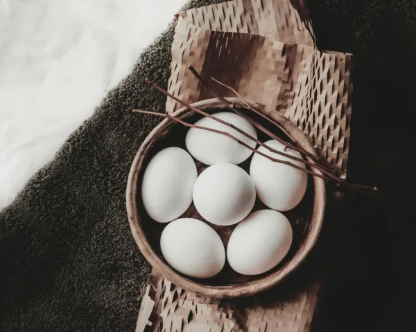 تفسير رؤية البيض في المنام ودلالاته