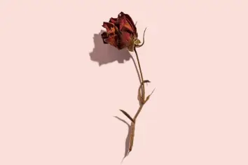 تفسير حلم وفاة الأخ في المنام