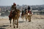 تفسير رؤيا الجمل في المنام للرجل