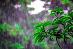 دلالات المطر الغزير نهاراً في المنام