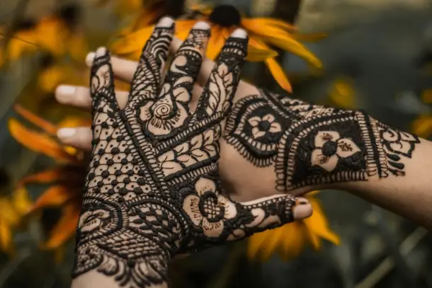 صورة توضيحية للمقال