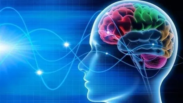 أسباب استحالة زراعة الدماغ البشري حالياً
