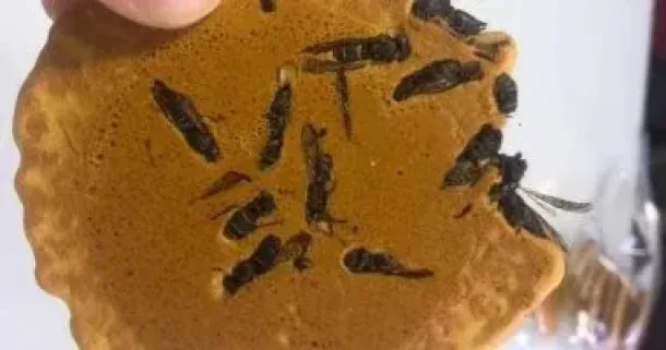 صورة توضيحية للمقال