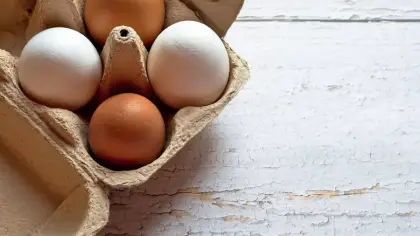 البيض البني والأبيض: القيمة الغذائية والكمية الموصى بها
