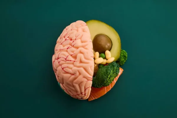صحة الأمعاء وحماية الدماغ