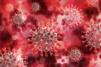 اكتشاف خلايا مناعية جديدة تؤوي فيروس الإيدز
