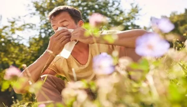 حمى القش: الأسباب والأعراض وطرق العلاج
