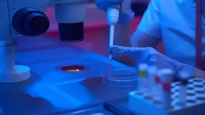 تجميد البويضات: إجراءات، مخاطر، ونسب نجاح