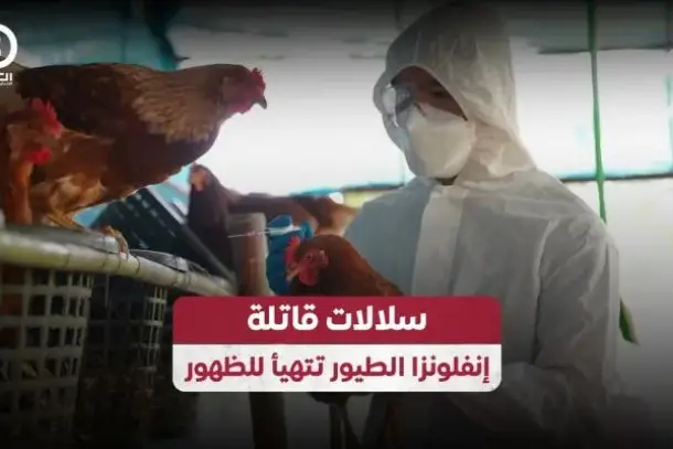 صورة توضيحية للمقال