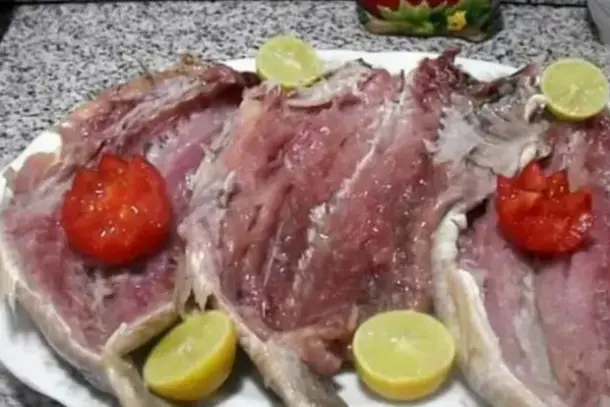 صورة توضيحية للمقال