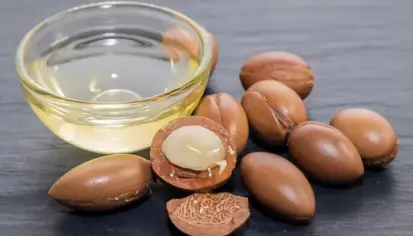 شجرة الأرغان وزيتها وأهميتهما البيئية والصحية