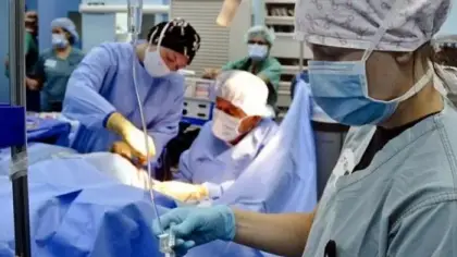 تغير شخصية متلقي الأعضاء: الأسباب والتفسيرات
