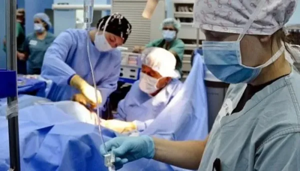 تغير شخصية متلقي الأعضاء: الأسباب والتفسيرات
