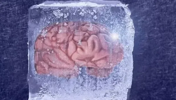 تقنية حديثة لحفظ أنسجة الدماغ دون تلف