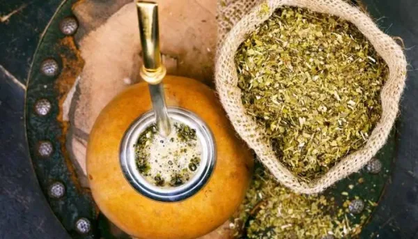 فوائد مشروب المتة وأضراره الصحية