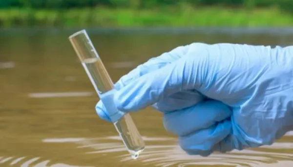 تأثير مواد PFAS على صحة الأبناء عبر الآباء