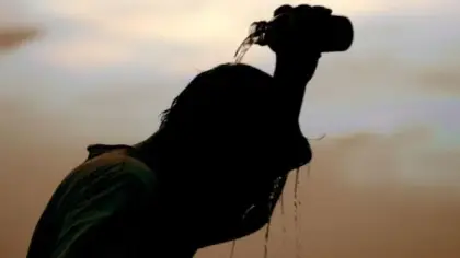 نصائح للتعامل مع موجات الحر الشديدة