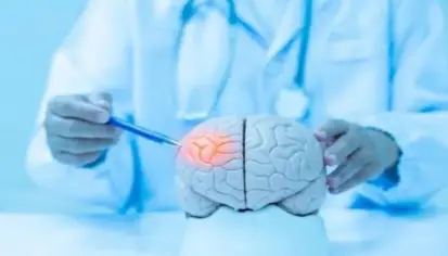 منطقة الدماغ المسؤولة عن الفضول البشري