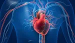 علامات أمراض القلب الظاهرة على القدمين