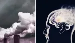 دواء جديد يحمي الدماغ من ألزهايمر وتلوث الهواء