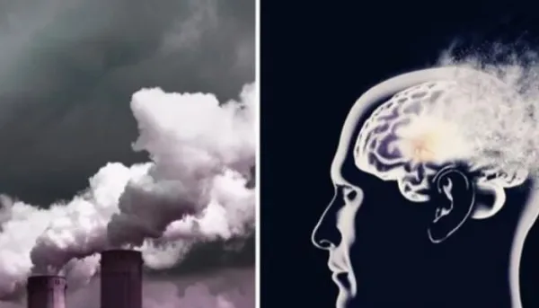 دواء جديد يحمي الدماغ من ألزهايمر وتلوث الهواء