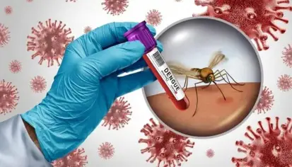 الاحترار المناخي وحمى الضنك: تحديات وحلول بكتيرية