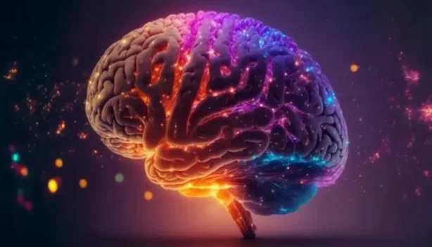 نصائح عملية لكبار السن للحفاظ على الذاكرة