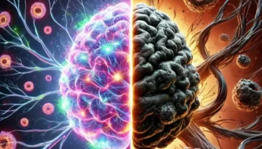 دور الجينات المزدوج في نمو الدماغ وأورامه