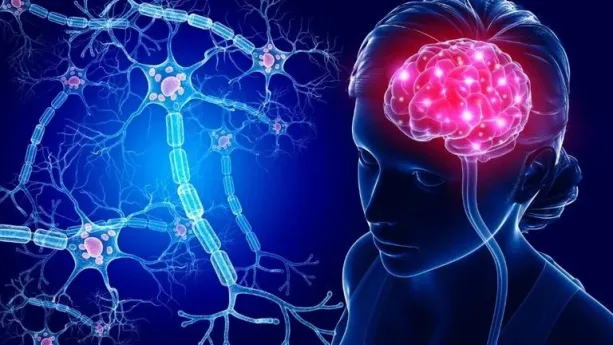 اكتشاف علمي يحرر قدرات الدماغ الكامنة