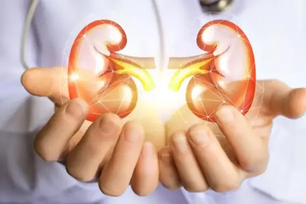 صورة توضيحية للمقال