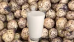 زبادي البطاطس: ابتكار غذائي لتعزيز المناعة