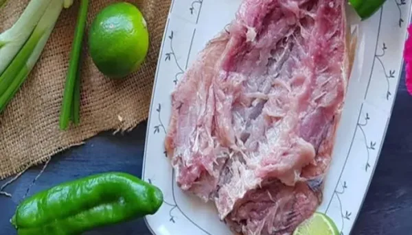 مخاطر الفسيخ والرنجة على صحة الحامل والجنين