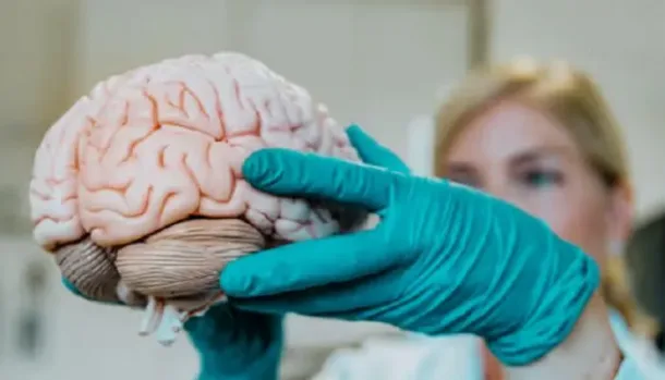 توضيح لمسار مرض كورو البريوني وتأثيره على خلايا الدماغ ووظائفه الحيوية.