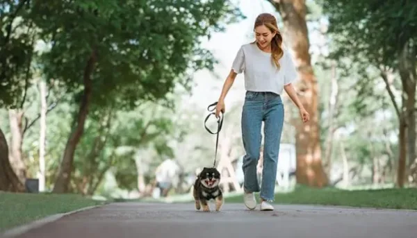 7 آلاف خطوة يومياً لقلب سليم وصحة أفضل