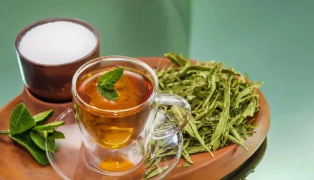 دراسة: مستخلص ستيفيا المعدل يقاوم سرطان البنكرياس