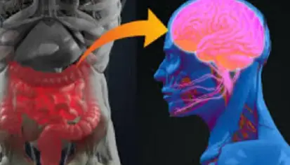 علاقة الأرق المزمن ببكتيريا الأمعاء