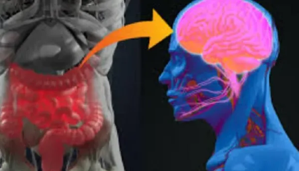 علاقة الأرق المزمن ببكتيريا الأمعاء