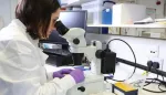 بيروكسيد الهيدروجين ودوره المحتمل في علاج السرطان