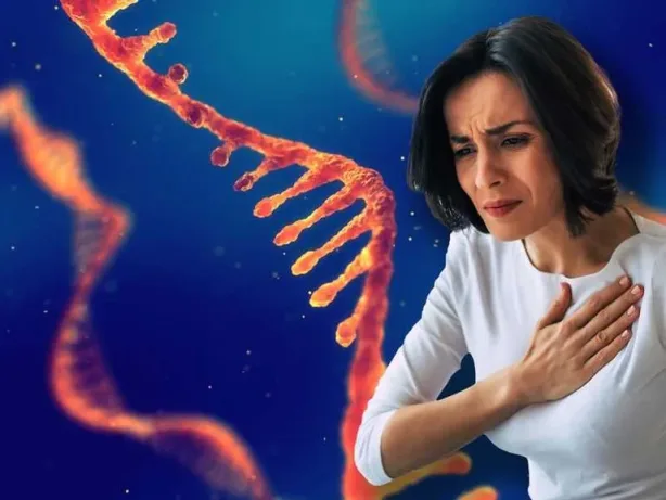 أسباب النوبات القلبية لدى النساء والفروقات الجنسية