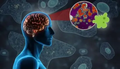 الأميبا آكلة الدماغ: أسبابها وأعراضها والوقاية منها