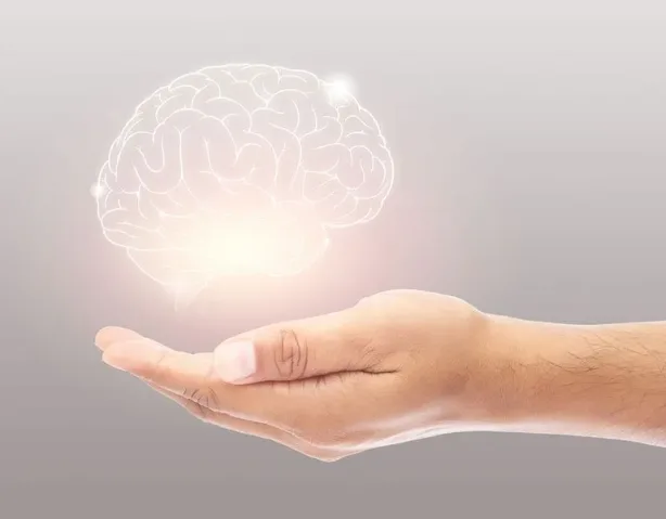 تأثير إيقاع الحياة اليومي على صحة الدماغ