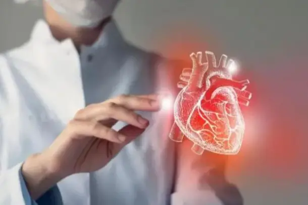 الشاي الأسود يدعم صحة القلب والأوعية الدموية ويساعد في تنظيم الضغط والكوليسترول.