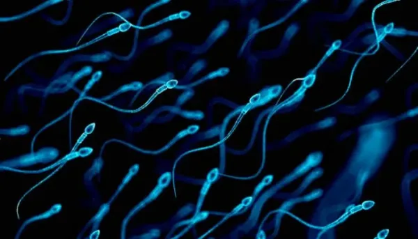 شيخوخة الحيوانات المنوية ومخاطرها الوراثية على الأبناء